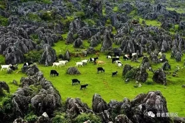 云南帅源集团文旅地产