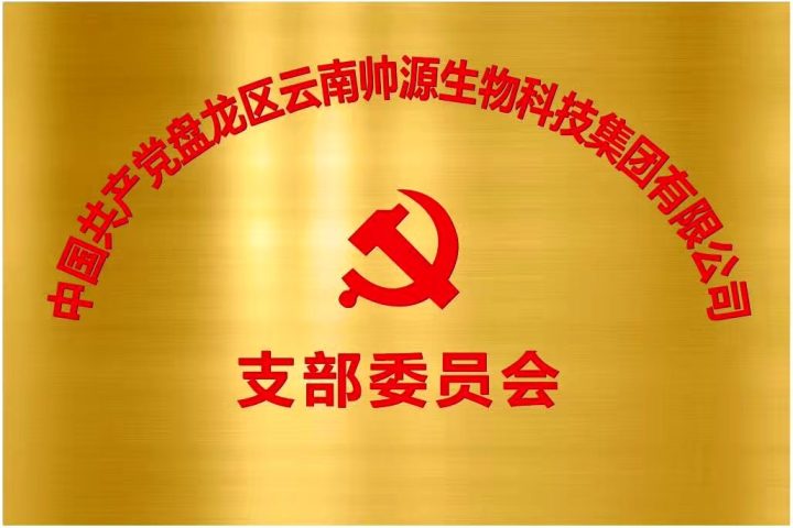 帅源集团党支部