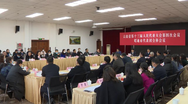 帅源集团常英女士参加云南省人民代表大会