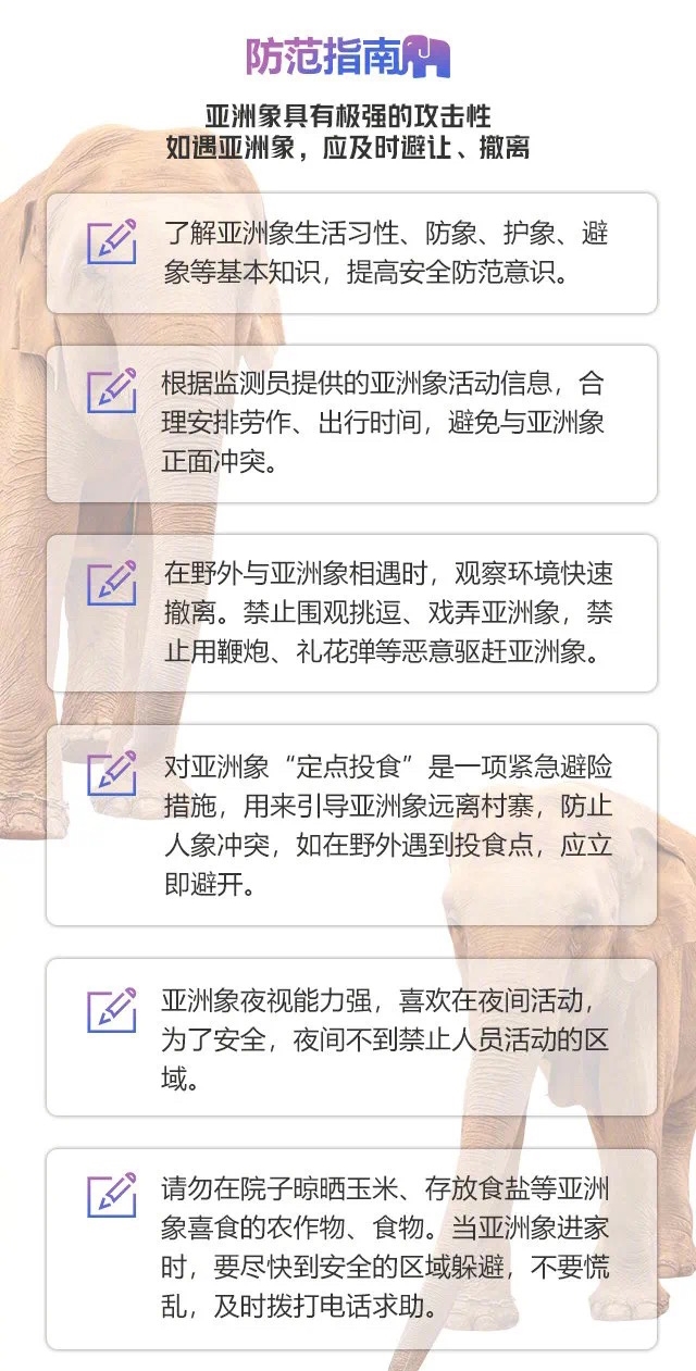 云南野生象防范指南