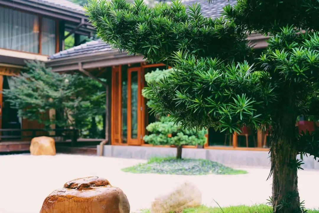 帅源集团世博园千寻墨问酒店